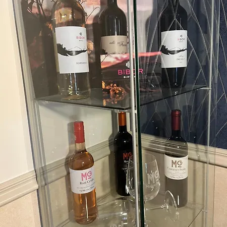 柯尼希酒店 佩奇